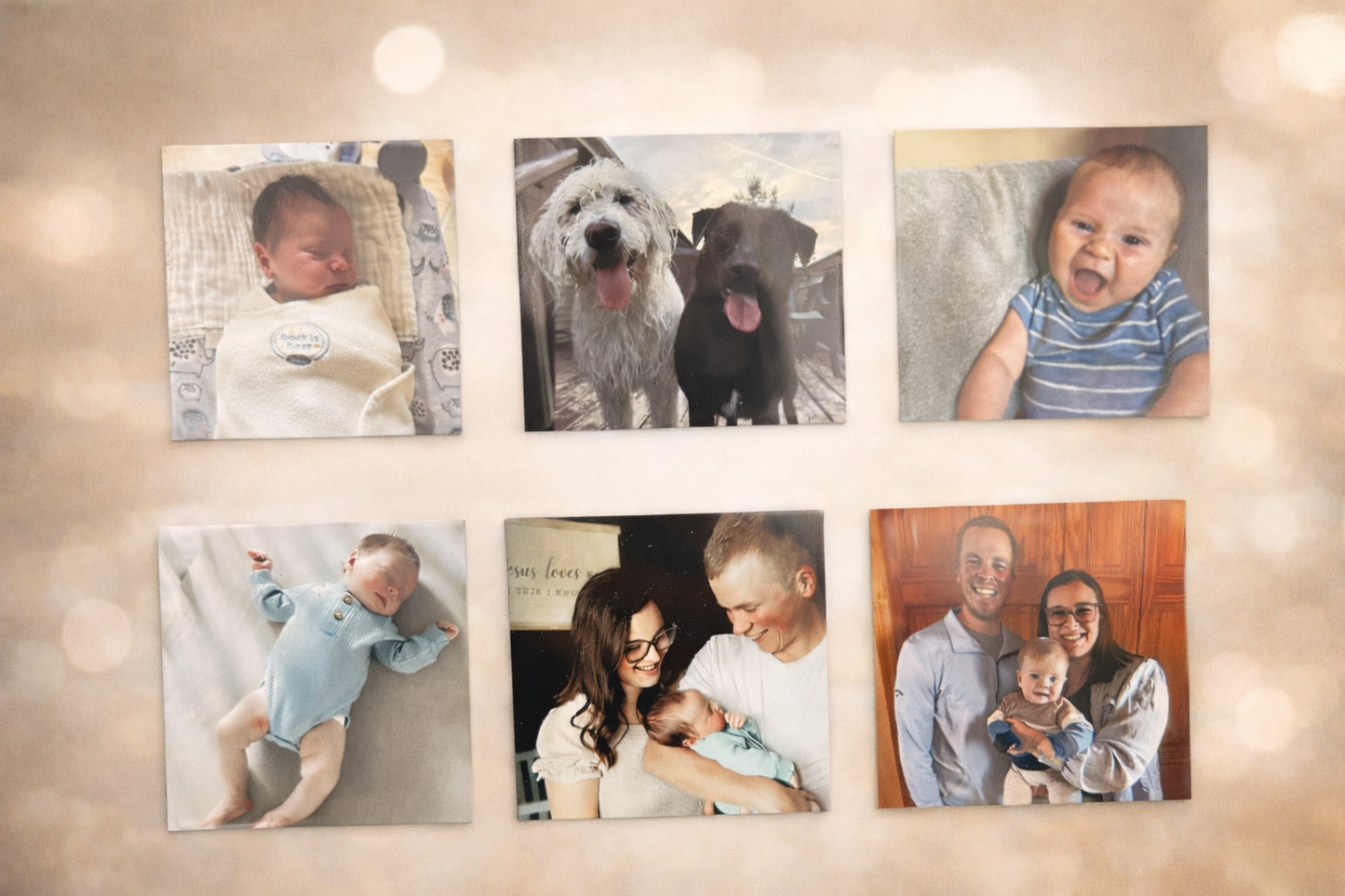 Set of 6 2.5in x 2.5in Custom Magnets